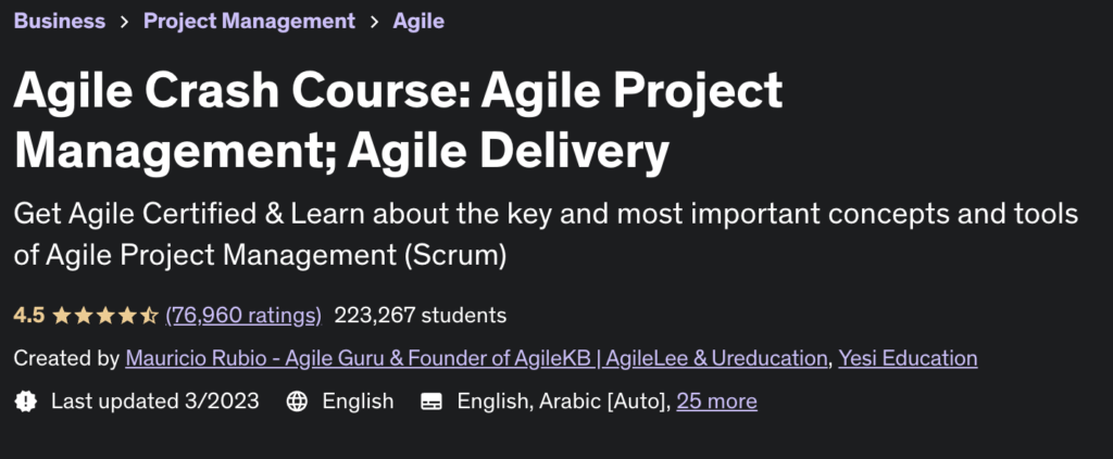Agile Crash Course: Agile Project Management; Agile Delivery